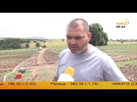 Видео: Бунтът на един селски кмет