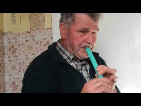 Видео: Нарэчанька// Лысы на дудцы