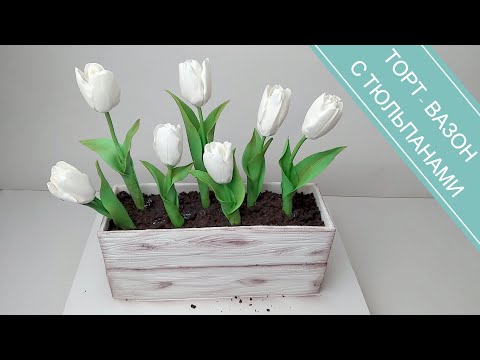 Видео: ТОРТ-ВАЗОН С ТЮЛЬПАНАМИ/декор торта/CAKE-VASON WITH TULIPS / cake decor