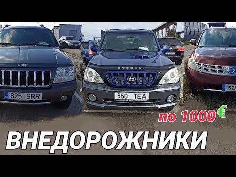 Видео: Внедорожники по 1000 в отличном состоянии. Осень 2021.