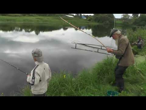 Видео: Воскресная рыбалка    гольяна и карпа пока.  13. 08. 2017