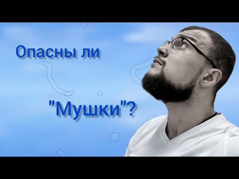 Видео: Мушки в глазах - опасны?