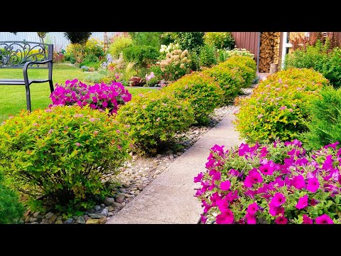 Видео: Августовский  сад в Калининградской области 🌿 Созданный любителями🌿Большой Обзор Сада в #garden