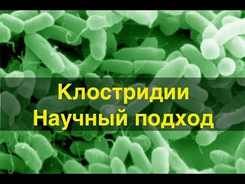 Видео: Клостридии. Разведение и взгляд с научной точки зрения.
