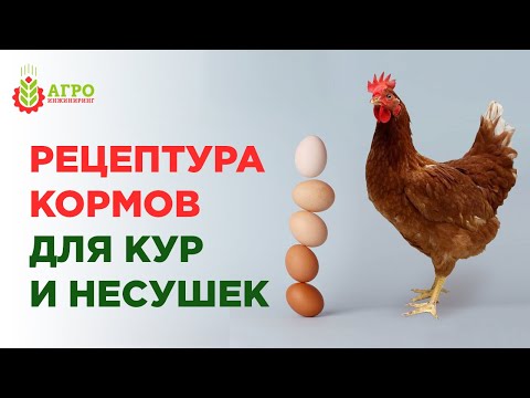 Видео: Рецептура кормов для молодых кур и кур несушек.