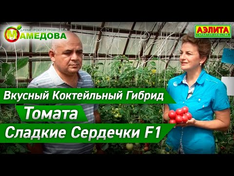 Видео: Вкусный Коктейльный Гибрид Томата. Сладкие Сердечки F1