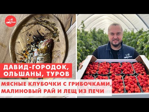 Видео: Клубочки с грибочками, малиновый рай и лещ из печи. Давид-Городок, Ольшаны, Туров. Еда- хоть куда!
