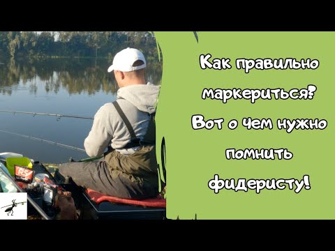 Видео: ВОТ ЧТО нужно искать фидеристу на дне! Алгоритм действий, который работает ВСЕГДА!