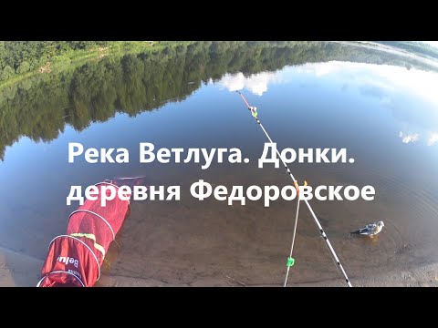 Видео: Рыбалка на донки в яме. Подружился с чайкой. Река Ветлуга. Жаркая погода влияет на клёв даже в яме