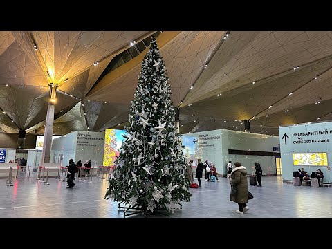 Видео: КАЗУС В АЭРОПОРТУ ПУЛКОВО/ БИЗНЕС-ЗАЛ ЯНВАРЬ 2024 ✈️