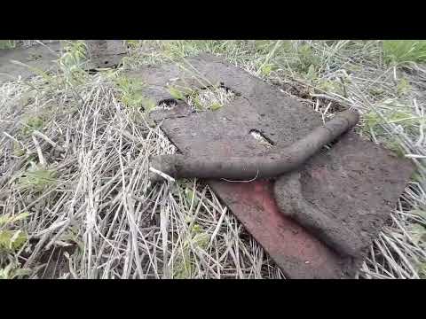 Видео: ОТЛИЧНЫЙ КОП В САМАРСКОЙ ОБЛАСТИ.КОПИМ МЕТАЛЛ.