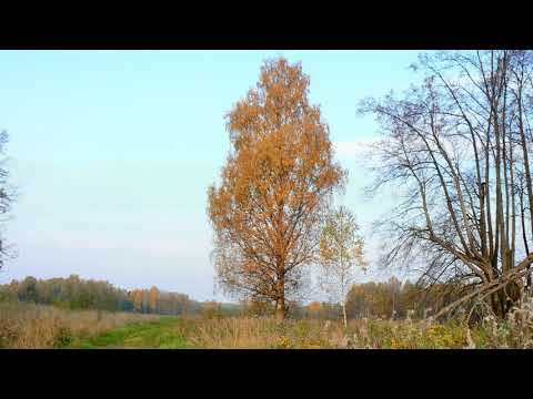 Видео: Слайд   шоу Осенние картины и духовные песнопения.