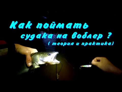 Видео: КАК ПОЙМАТЬ СУДАКА НА ВОБЛЕР. ТЕОРИЯ И ПРАКТИКА. #судак #спиннинг  Zander fish on a wobbler. #zander