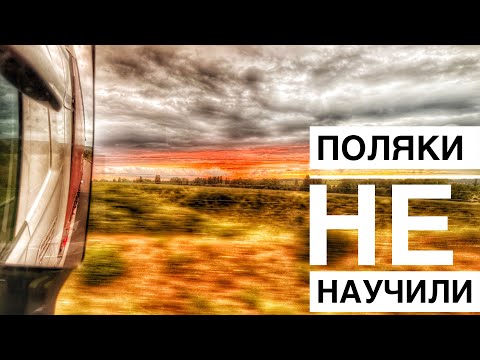 Видео: Польская автошкола, не смогла научить ездить. Ничего страшного, значит я научу! Заезд под рампу 2025