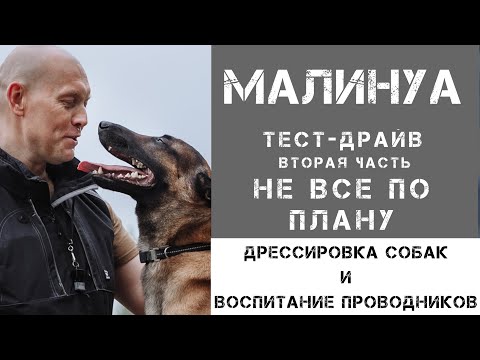 Видео: Тест-драйв малинуа. Часть 2: не все по плану.