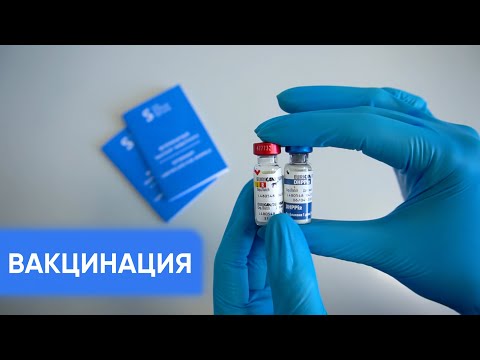 Видео: Вакцинация домашних животных - полный гайд для владельцев