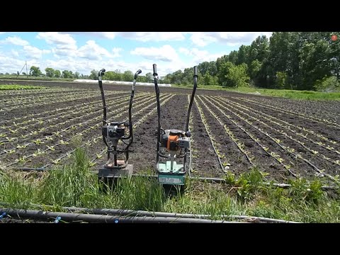 Видео: КУЛЬТИВАТОРЫ  ДЛЯ ПРОПОЛКИ !!!