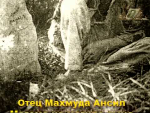 Видео: Махмуд из Кахабросо