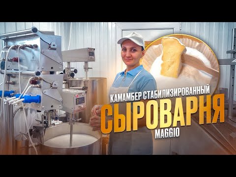 Видео: Сыроварня Елисеевых / Как сделать сыр "Камамбер стабилизированный" / Сыроварня Маджио ( Maggio )