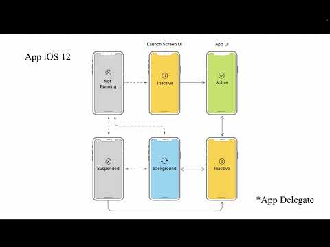 Видео: Занятие 2: Xcode, Storyboard, App/Controller Life cycle, Autolayout