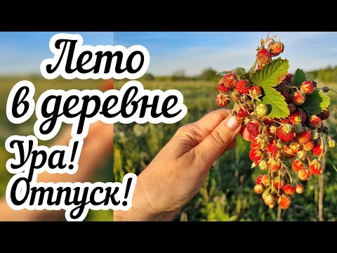 Видео: Лето в деревне 🏡 Ура! Отпуск!☀️