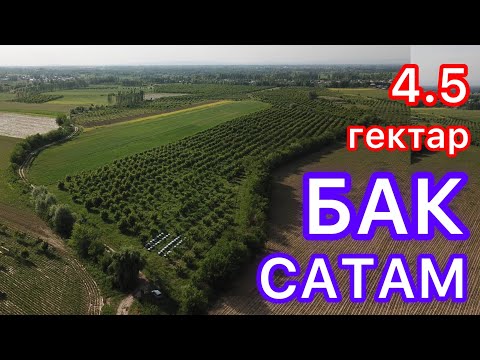 Видео: БАК деген ушундай болот  ~  Баарын САТАМ