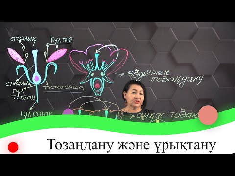 Видео: Тозаңдану және ұрықтану. 7 сынып.