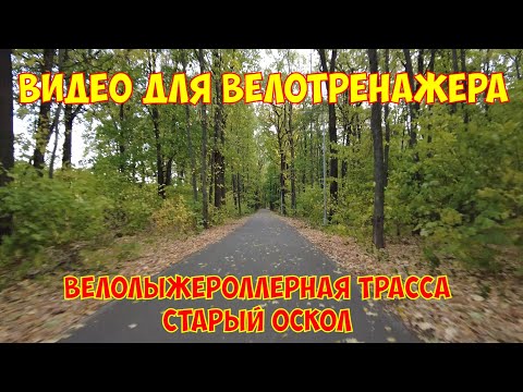 Видео: Видео для велотренажёра|Велолыжероллерная трасса | Старый Оскол