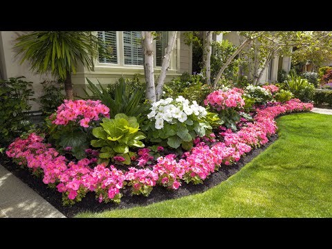 Видео: Ландшафтный дизайн клумб: идеи для цветников на переднем дворе вашего дома!