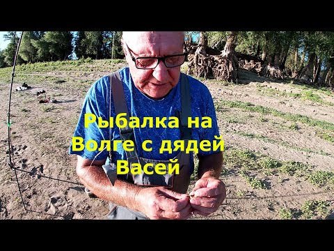 Видео: Рыбалка на Волге ночью. Дядя Вася! Лето 2024!
