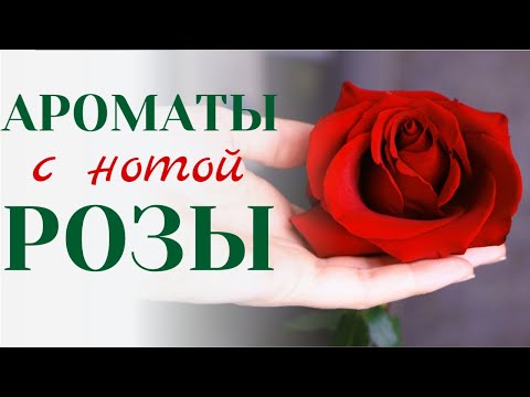 Видео: Парфюмы с нотой розы