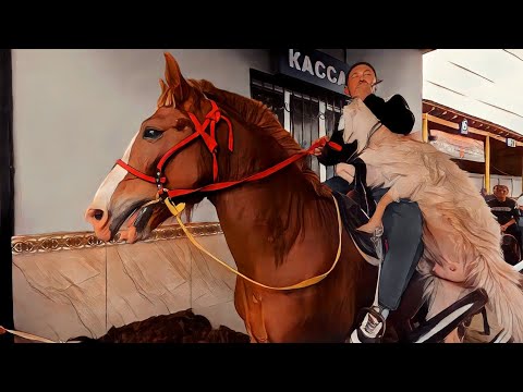 Видео: ОТ БОЗОР " ПЛОТИНА "! КОННЫЙ РЫНОК! БОЗОРИ АСП! HORSE MARKET