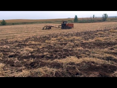 Видео: Положение дел хозяйства 02.09.2021. Обо всём, по немногу.