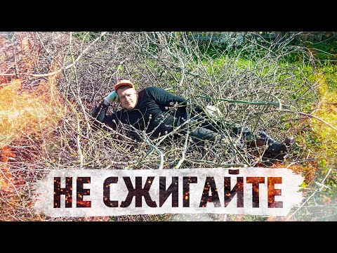 Видео: Когда-то заброшенный участок становится чистым и уютным