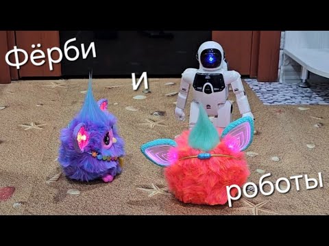Видео: Польский и английский фёрби общаются с роботами