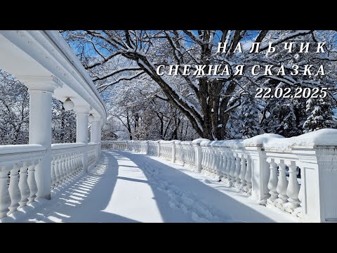 Видео: Нальчик, снежная сказка, 22.02.2025г.