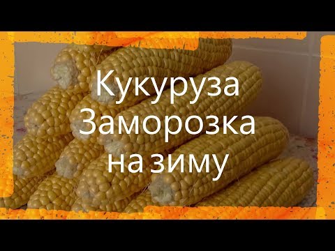 Видео: Как правильно заморозить кукурузу / Замораживаем свежую кукурузу / Заморозка кукурузы на зиму
