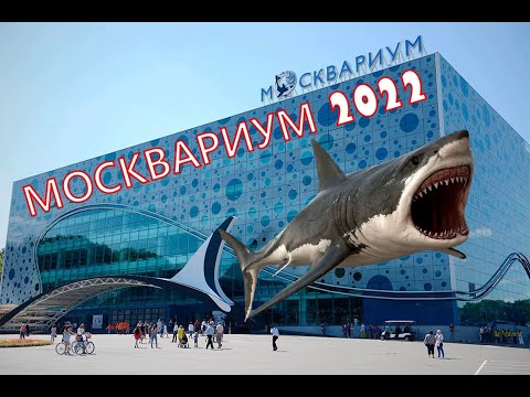 Видео: МОСКВАРИУМ на ВДНХ..Рай не только для детей?...Экскурсия на все 100 % !