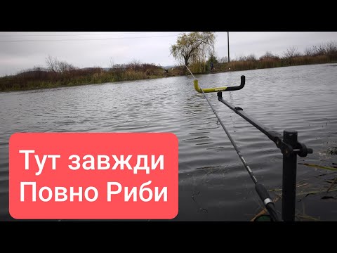 Видео: Рибалка Бурштинській канал. Як впливає температура на Кльов Риби?