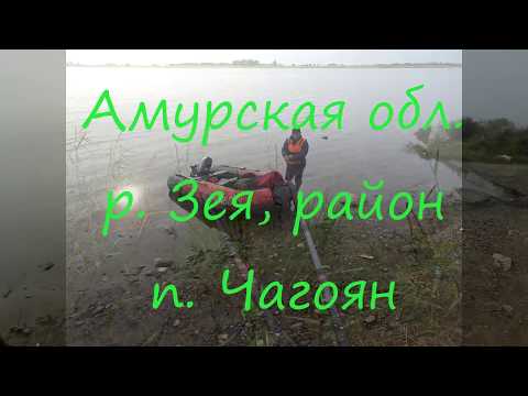 Видео: Рыбалка. Ловля хариуса, налимчика, сома на р. Зея.