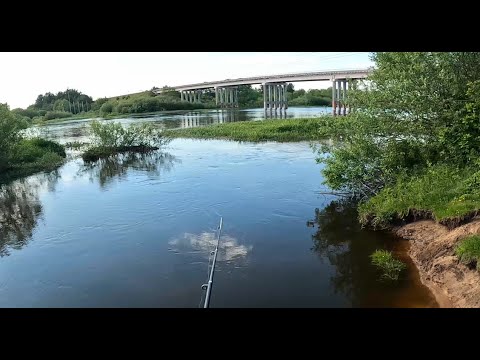 Видео: р.Неман. район д.Орля. Прогулка по берегу. Гродненская обл. РБ