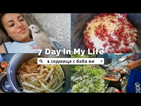 Видео: СЕДМИЧЕН ВЛОГ | ДОЛЕТЯ ГОСТЕНЧЕ 😯 КОНСЕРВИРАМЕ РАЙКЕН БОБ И МАЛИНИ. БАРБЕКЮ С ПРИЯТЕЛИ И ОЩЕ..