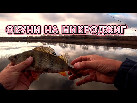 Видео: ИСКАЛИ ОКУНЕЙ НА МИКРОДЖИГ И... НАШЛИ)