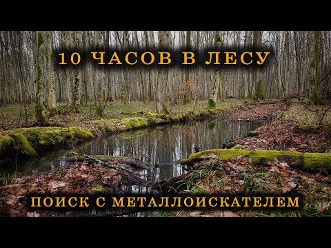 Видео: 10 ЧАСОВ В ЛЕСУ! ПОИСК С МЕТАЛЛОИСКАТЕЛЕМ!!! В ПОИСКАХ КЛАДА И СОКРОВИЩ