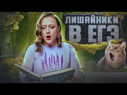 Видео: ЛИШАЙНИКИ В ЕГЭ-2024 ПО БИОЛОГИИ | Внешнее и внутреннее строение, разнообразие и экология лишайников