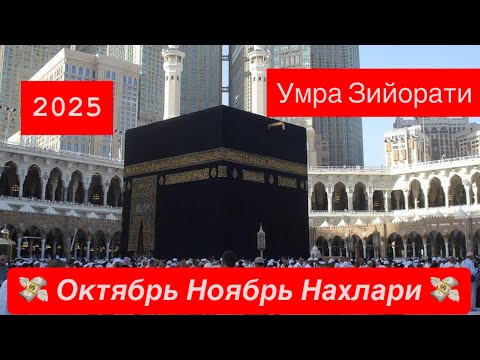 Видео: 🕋 УМРА ЗИЙОРАТИГА 💸  ОКТЯБРЬ НОЯБРЬ Учун Нархлари Шошилиб Колинг