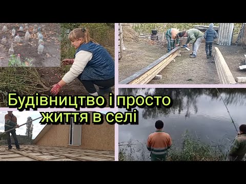 Видео: ПІДГОТОВКА ДОШОК ДЛЯ ОБРЕШІТКИ НА ДАХ.ПЕРЕСАДКА ТРОЯНД ,ВСІ ТРОЯНДИ З ПІД ПЛЯШКИ.