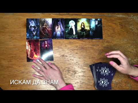 Видео: Умело изплетена паяжина