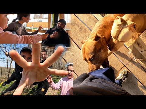 Видео: Питбуль Граф накинулся на меня и про... Племянницы наехали на работников !) Катаемся на качелях все.