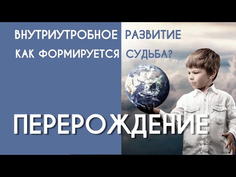 Видео: Как формируется Судьба  Внутриутробный период  Перерождение